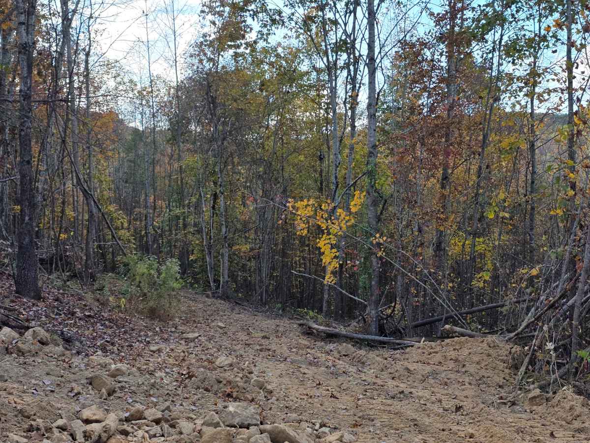 Hardwood Hollow Bypass photo 2