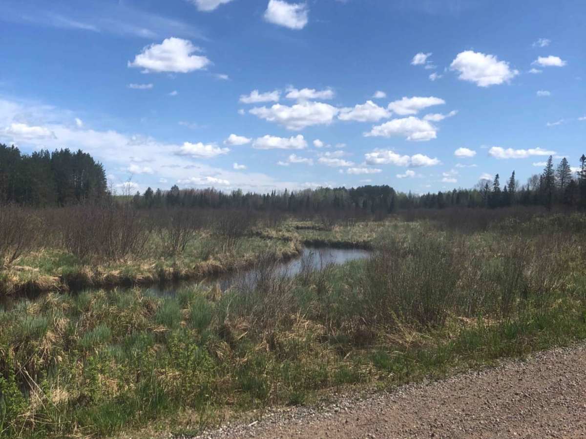 Pratt Junction trail photo