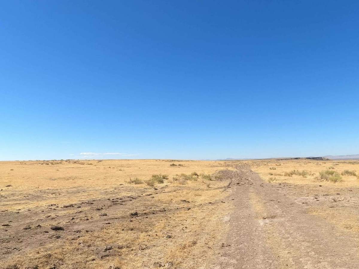 Morcom Road trail photo