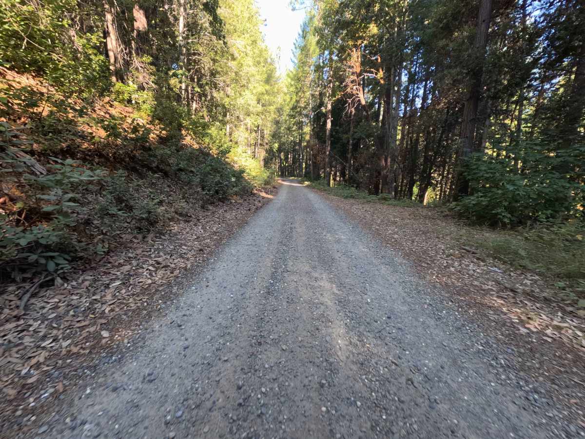 Dry Creek - FS 19N25  photo 2