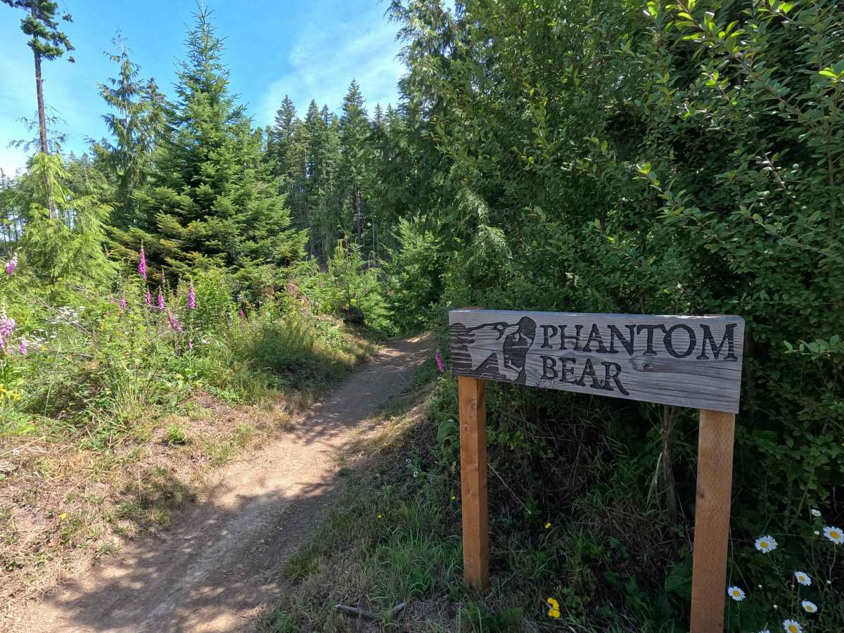 West Phantom Bear trail photo