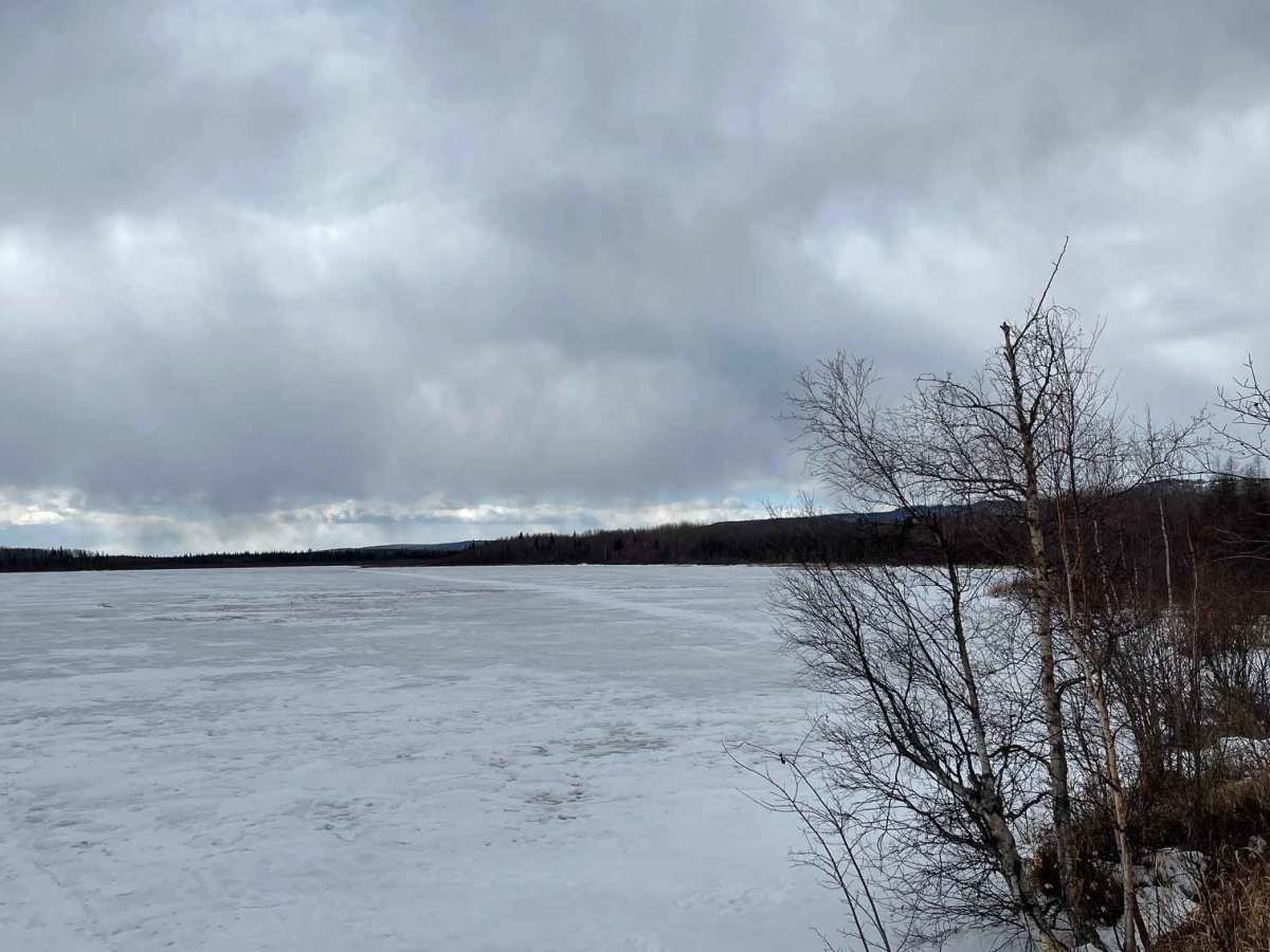 Jackfish Road photo 4