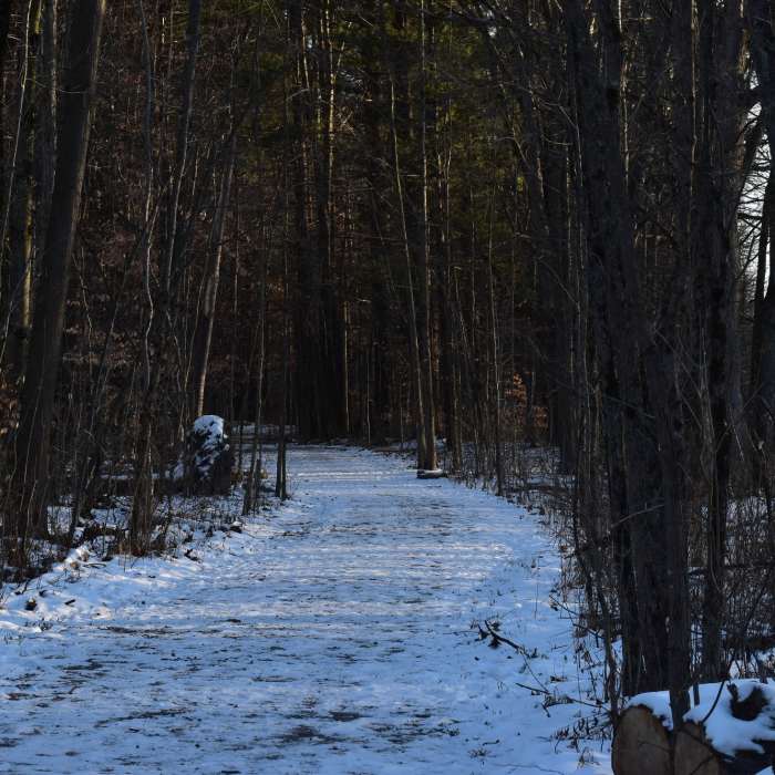 Seven Ponds Trail Near Seven Ponds Trail