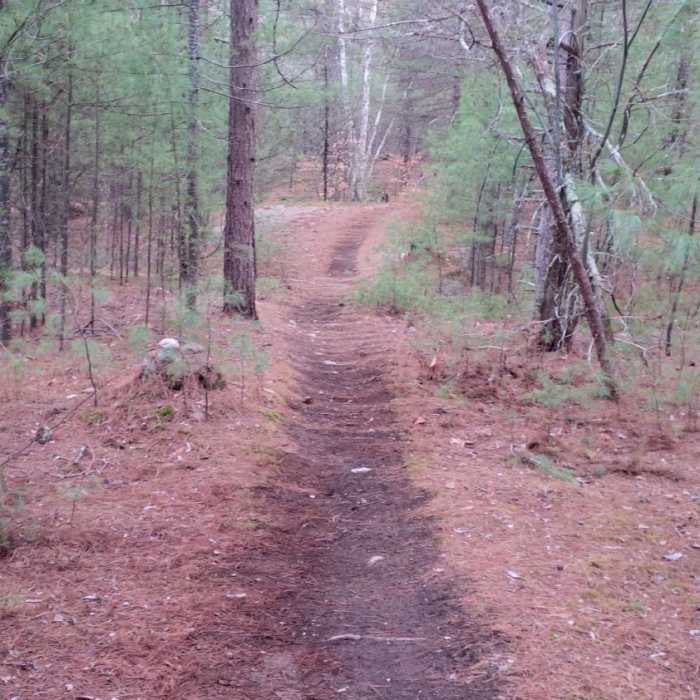 Near Upper Twisted Trail
