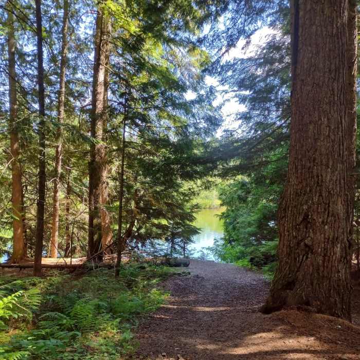 Near Portage Trail