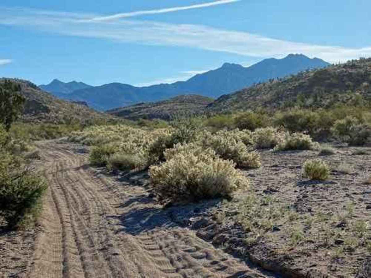 Hualapai Foothills photo 6