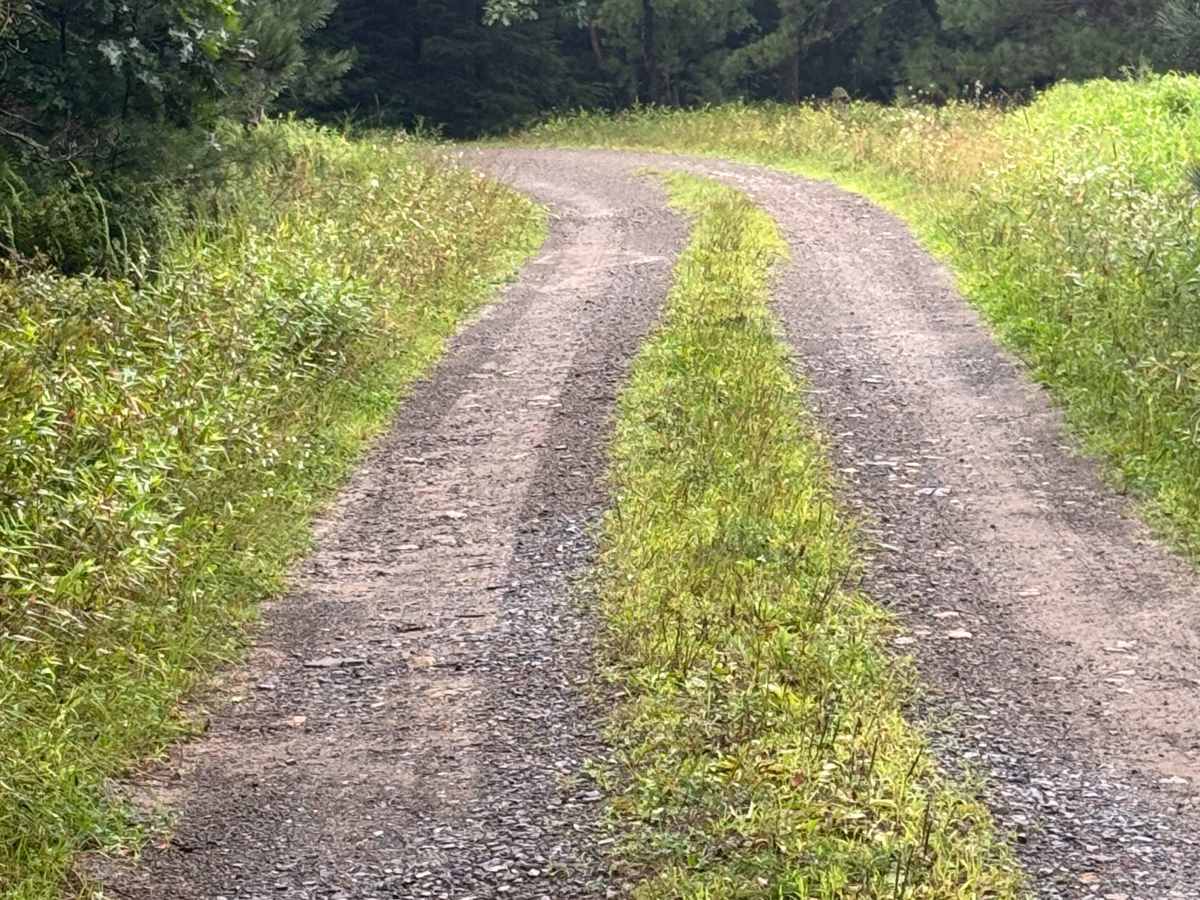 Sand Spring Road photo 5