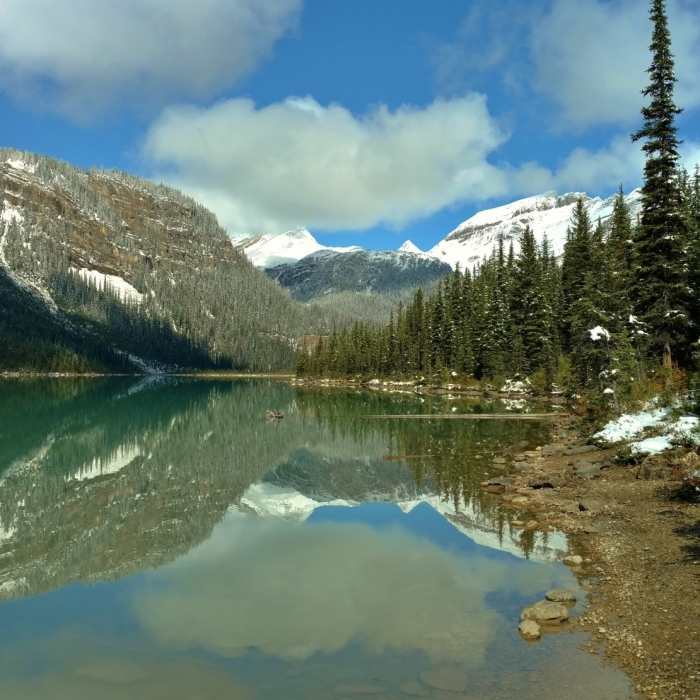 Near Sherbrooke Lake Trail