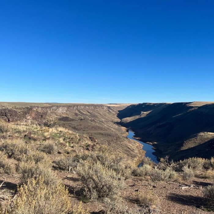 Near Owyhee River Road Loop Near Owyhee River Road Loop