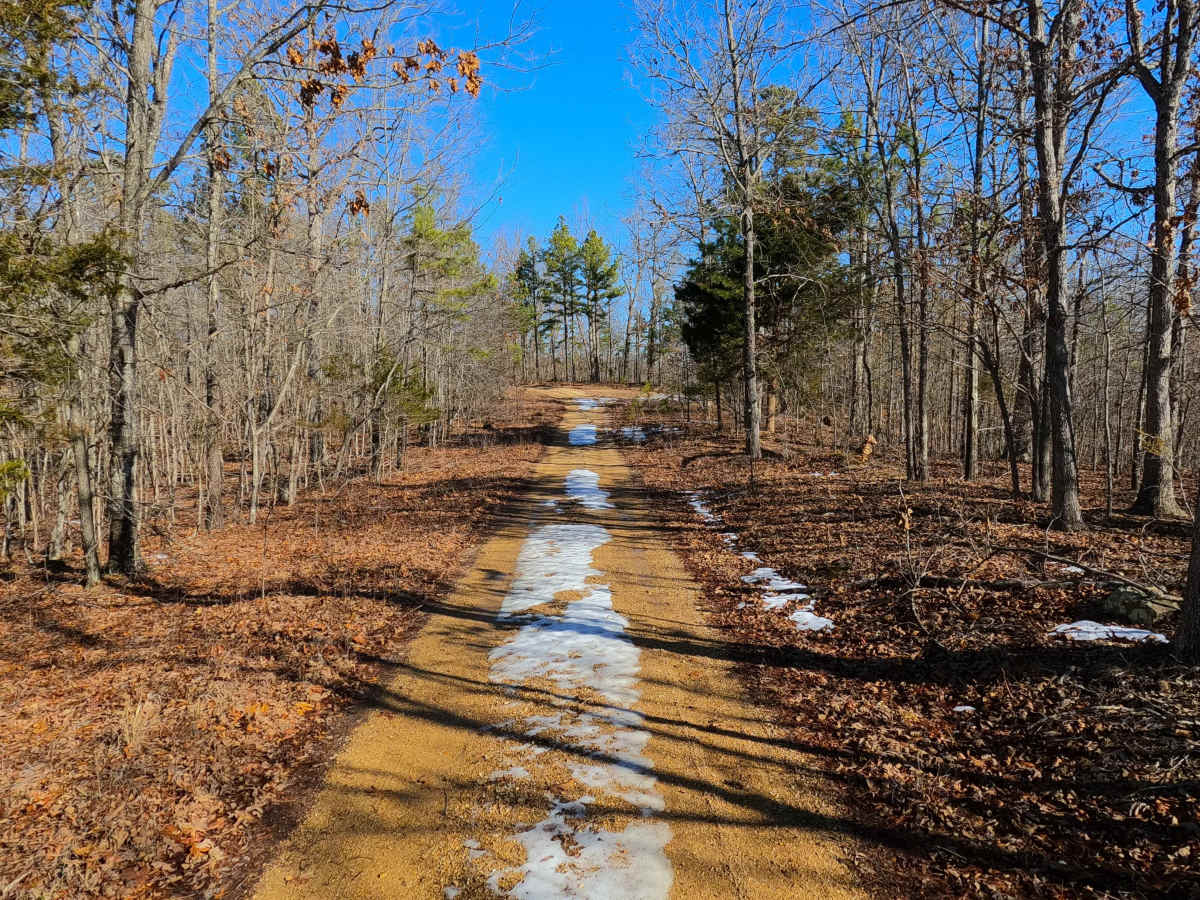 Buzzard Ridge - FS 2677 photo 4