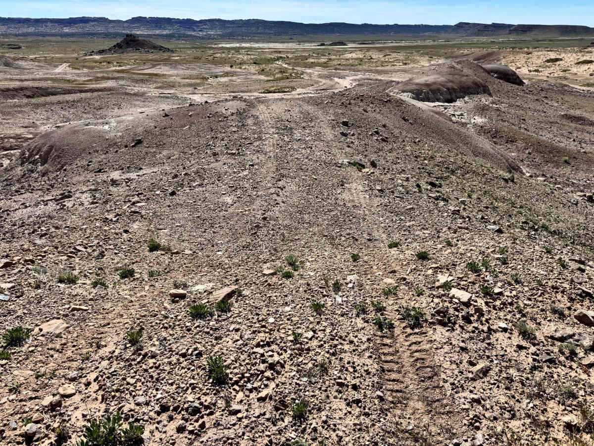 Forgotten Mine Road photo 3