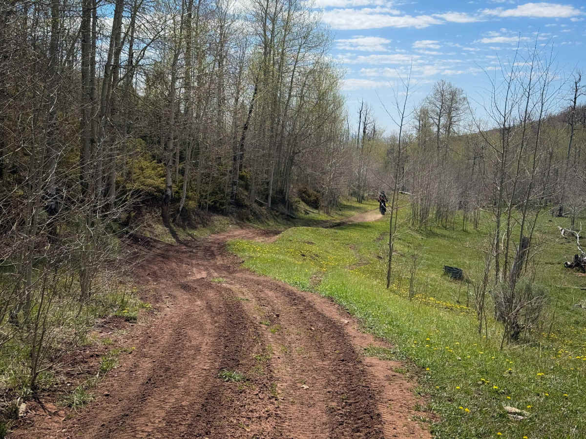 Kabell Hollow #551  photo 5