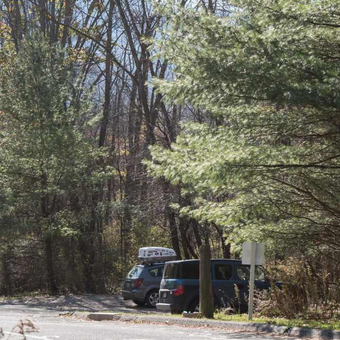 Near Pine Cobble Trail