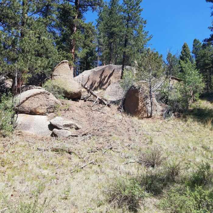 Near Lovell Gulch Trail #706