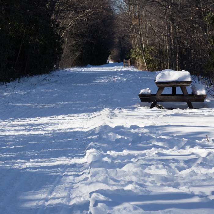 Near D & L Trail Lehigh Tannery to White Haven Near D & L Trail Lehigh Tannery to White Haven