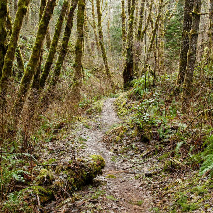 Near Niagara Falls + Pheasant Creek Falls