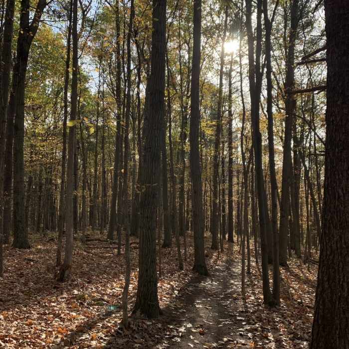 Business Park Loop - perfect for running! Near Village Loop