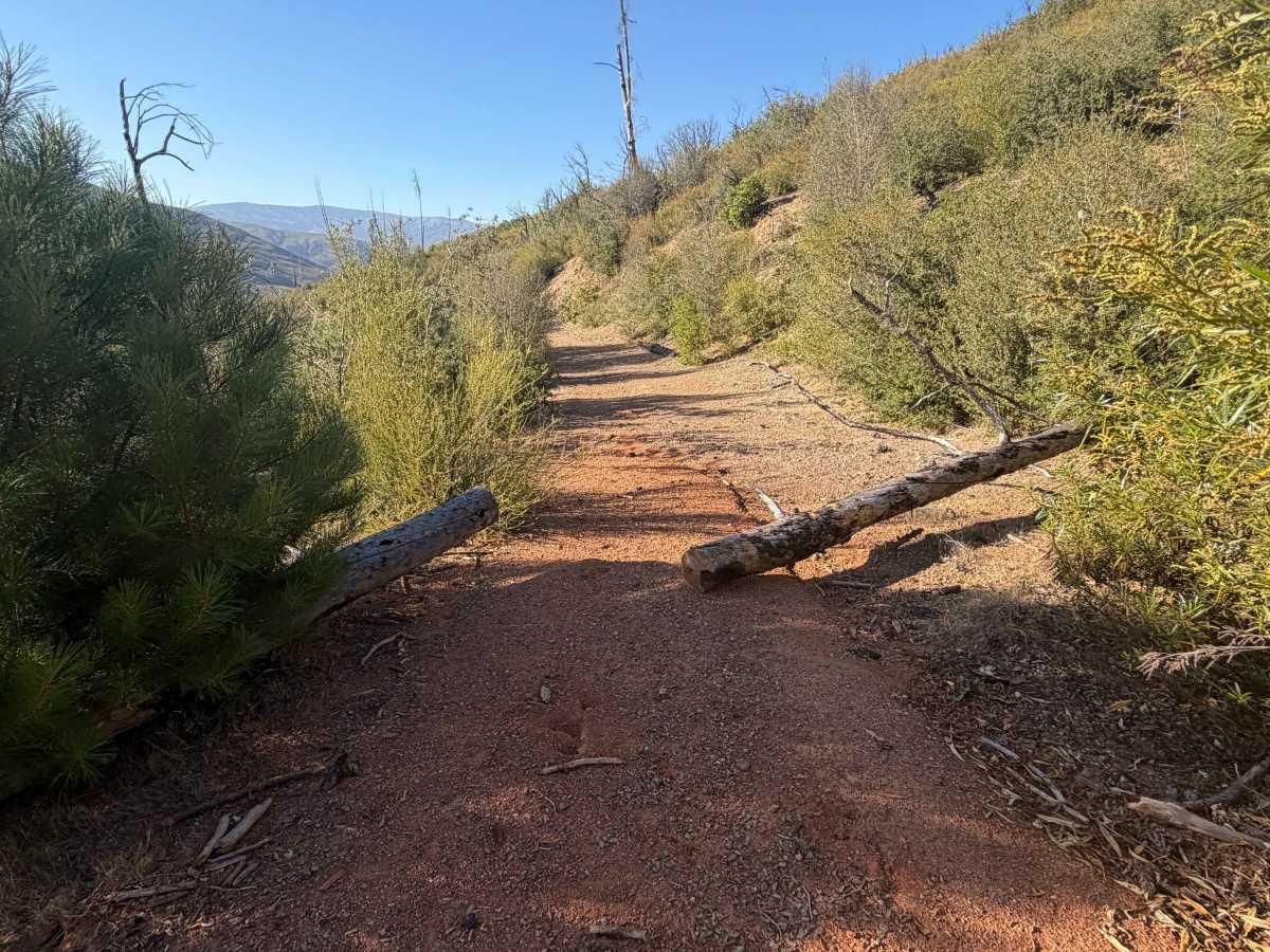 Grindstone Canyon - FS 21N65 photo 4