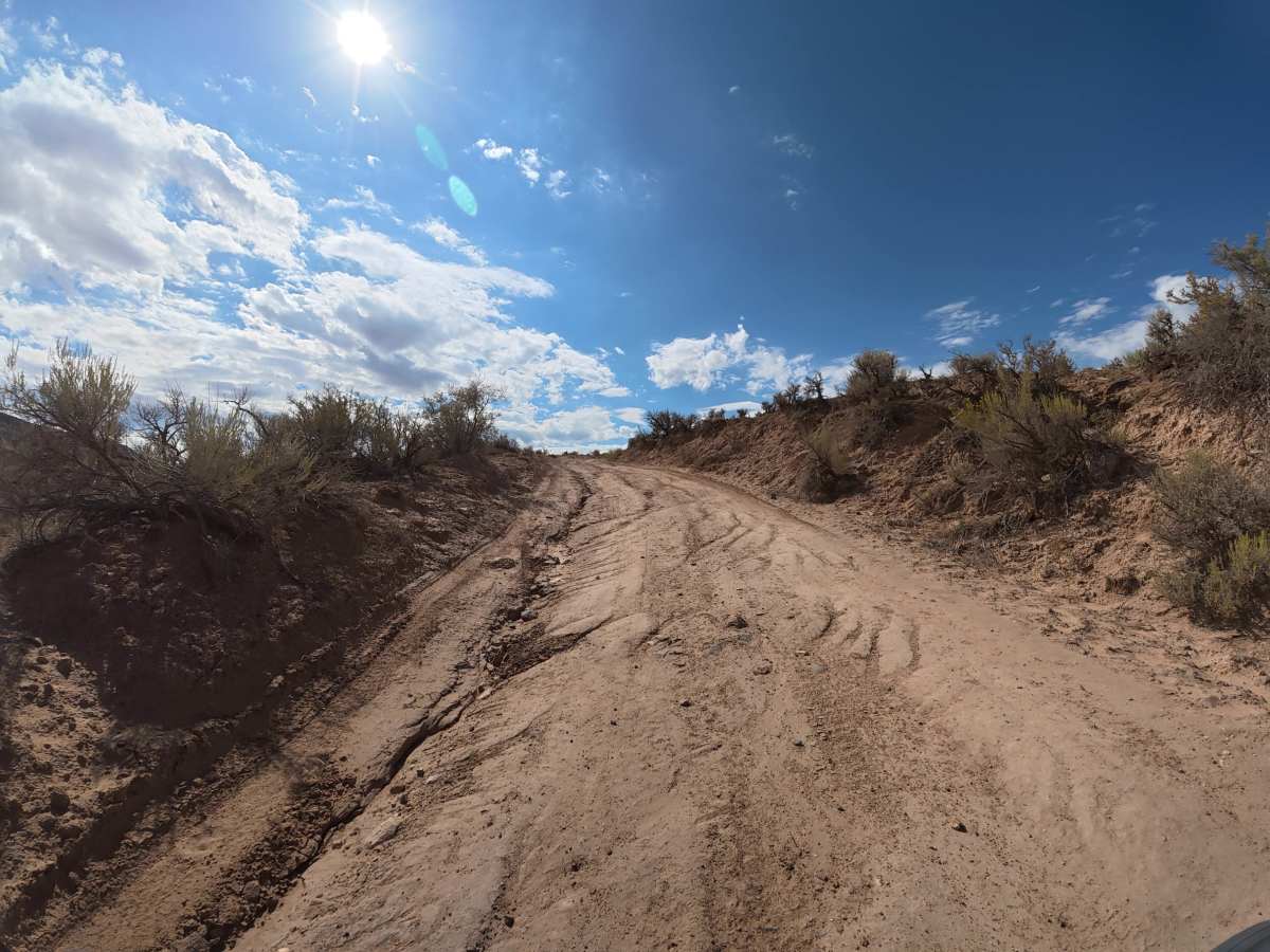 BLM 014 photo 3