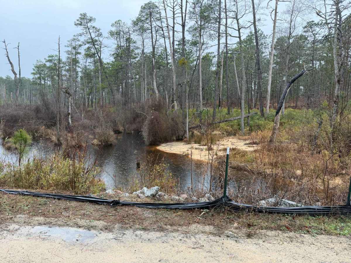 Hoffman Road photo 4