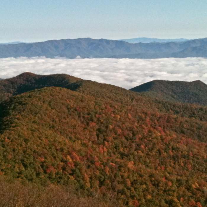 Near Brasstown Bald via Jack's Gap