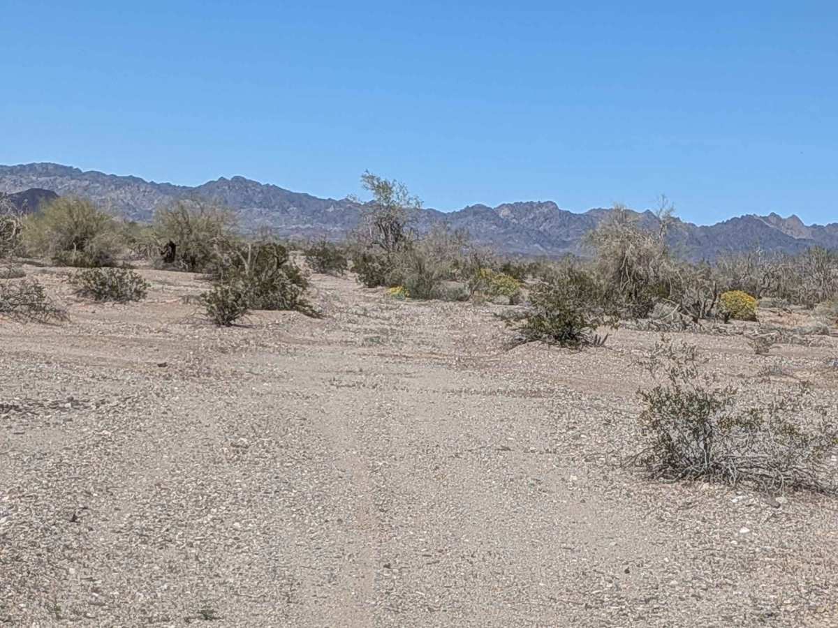 BLM 761 photo 3