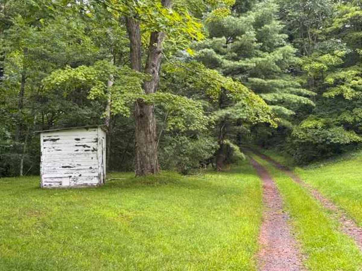 Reddinger Road trail photo