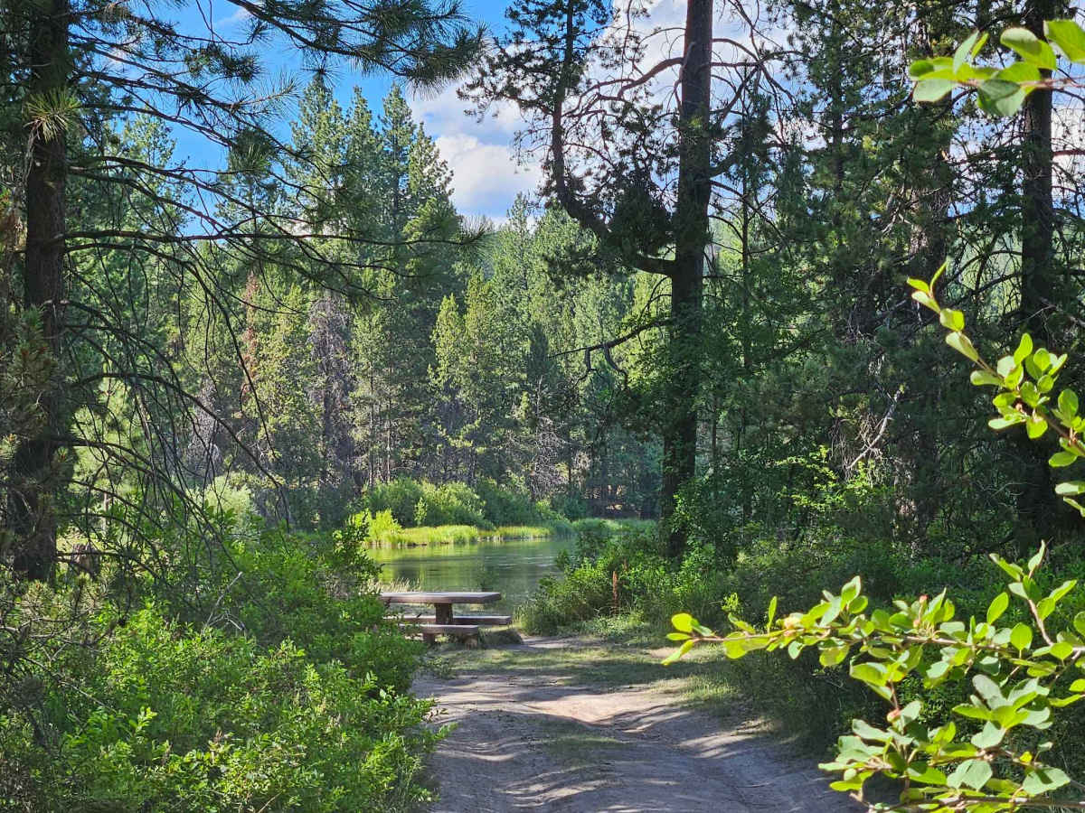Besson Camp Road photo 6