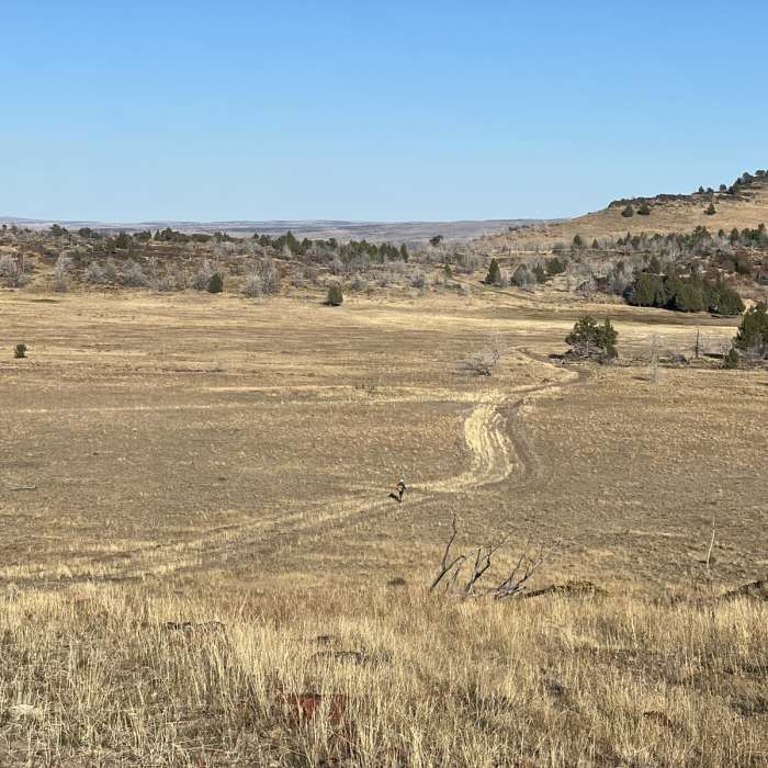 Near Frenchglen to Jack Mountain Road Near Frenchglen to Jack Mountain Road