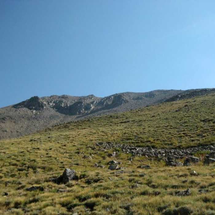 Near Mt. Columbia