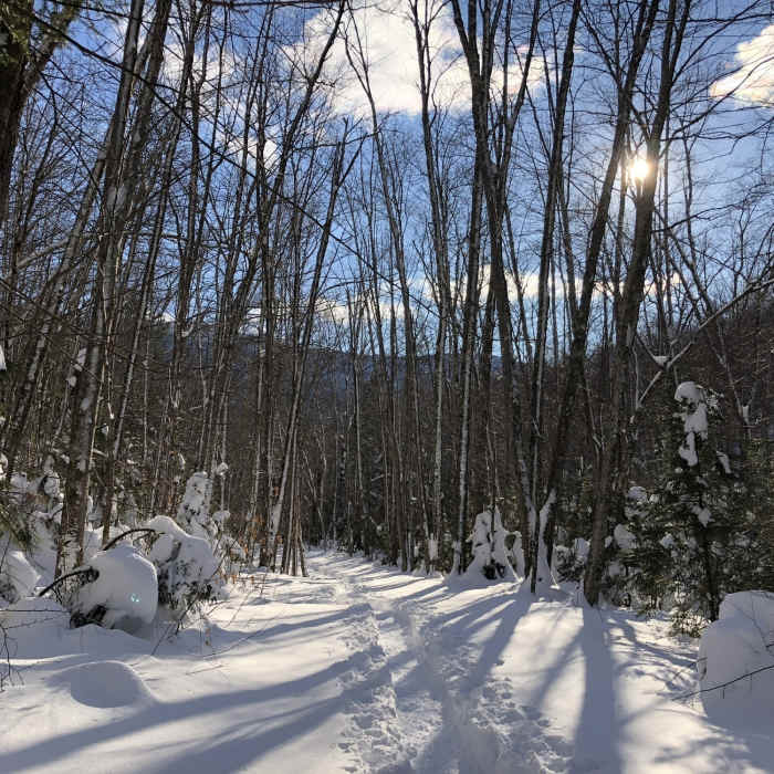 Near Spruceton Trail Shelter Out-and-Back