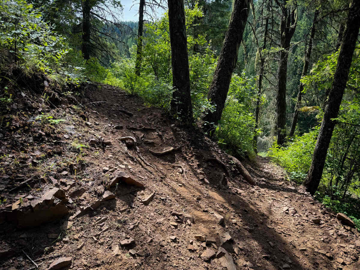 Steep Creek  photo 2