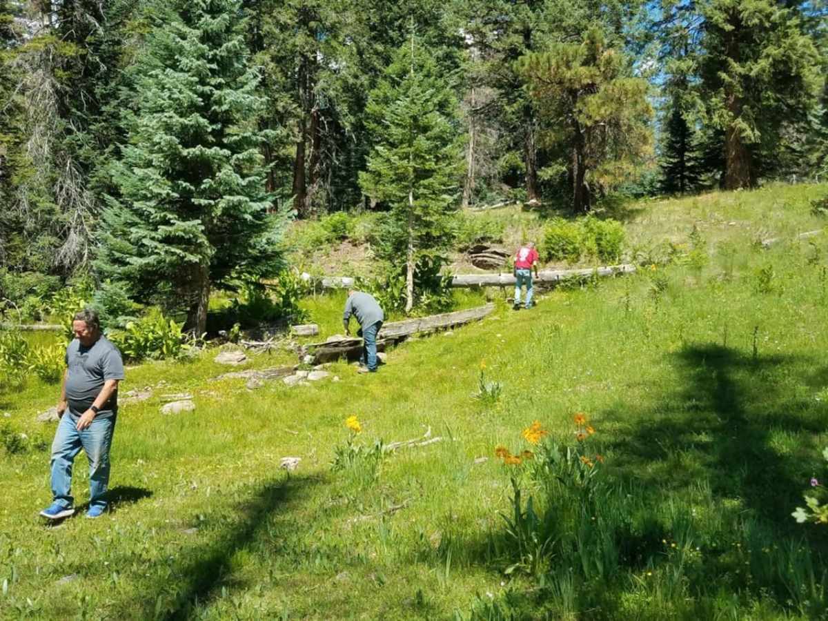 Corder Loop photo 4