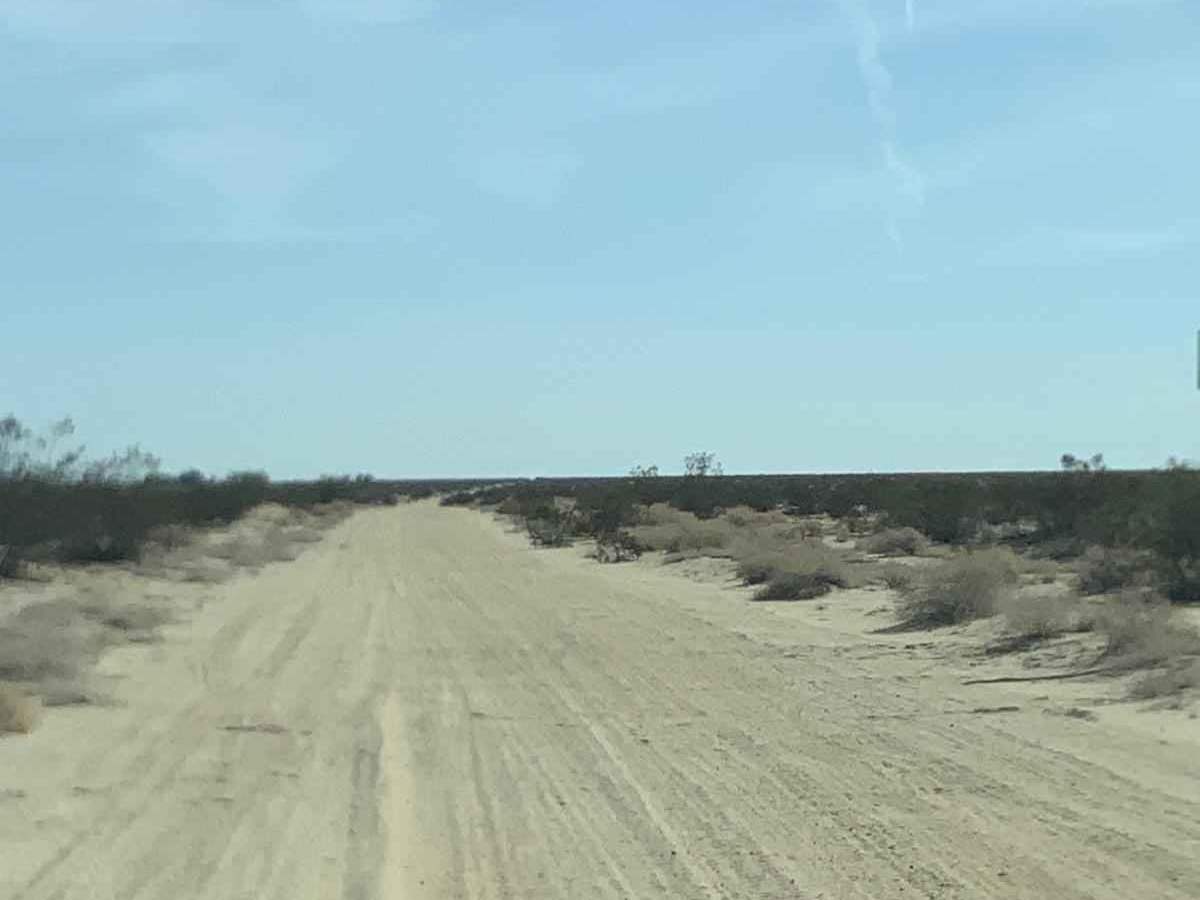 Salt Flats Trail trail photo