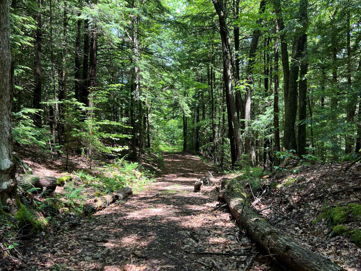 Porter Road photo 6