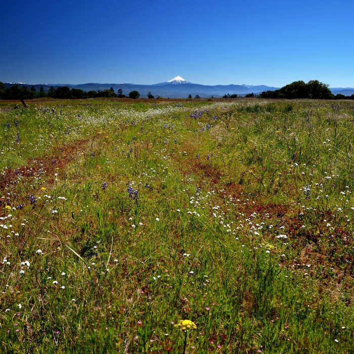 Near Upper Table Rock Trail