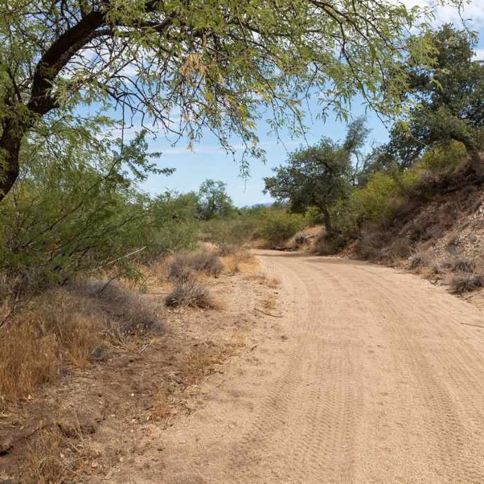 Near Cottonwood Wash