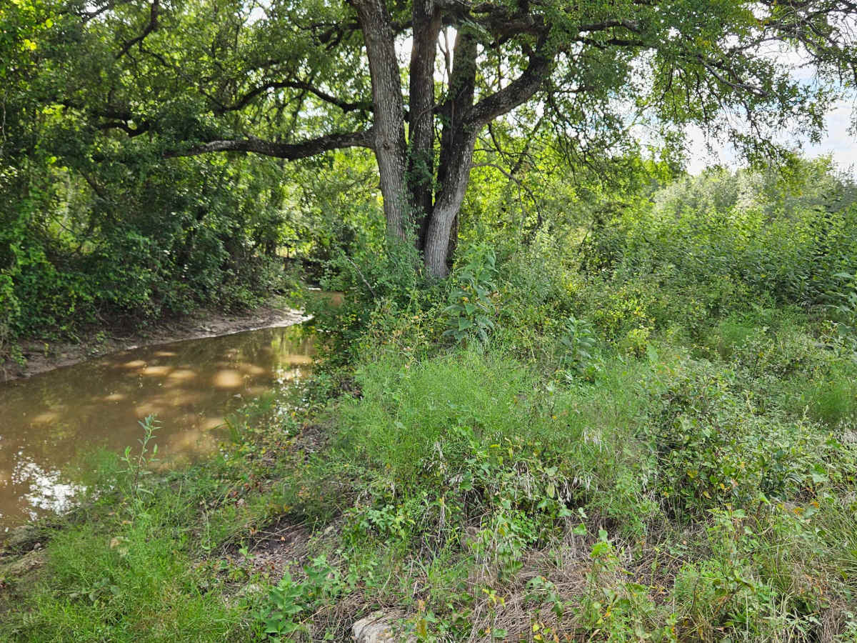 Gus's Gulch photo 2