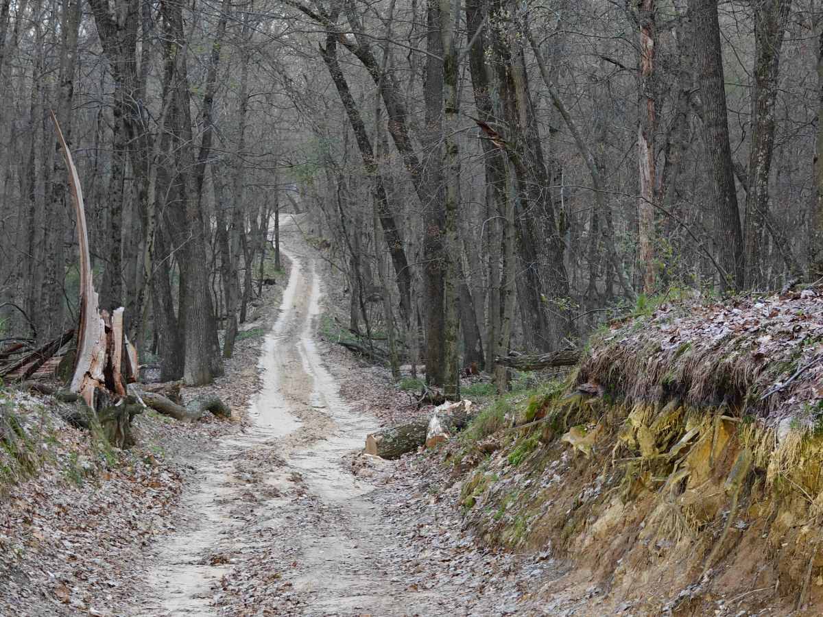 Hart Trail photo 2