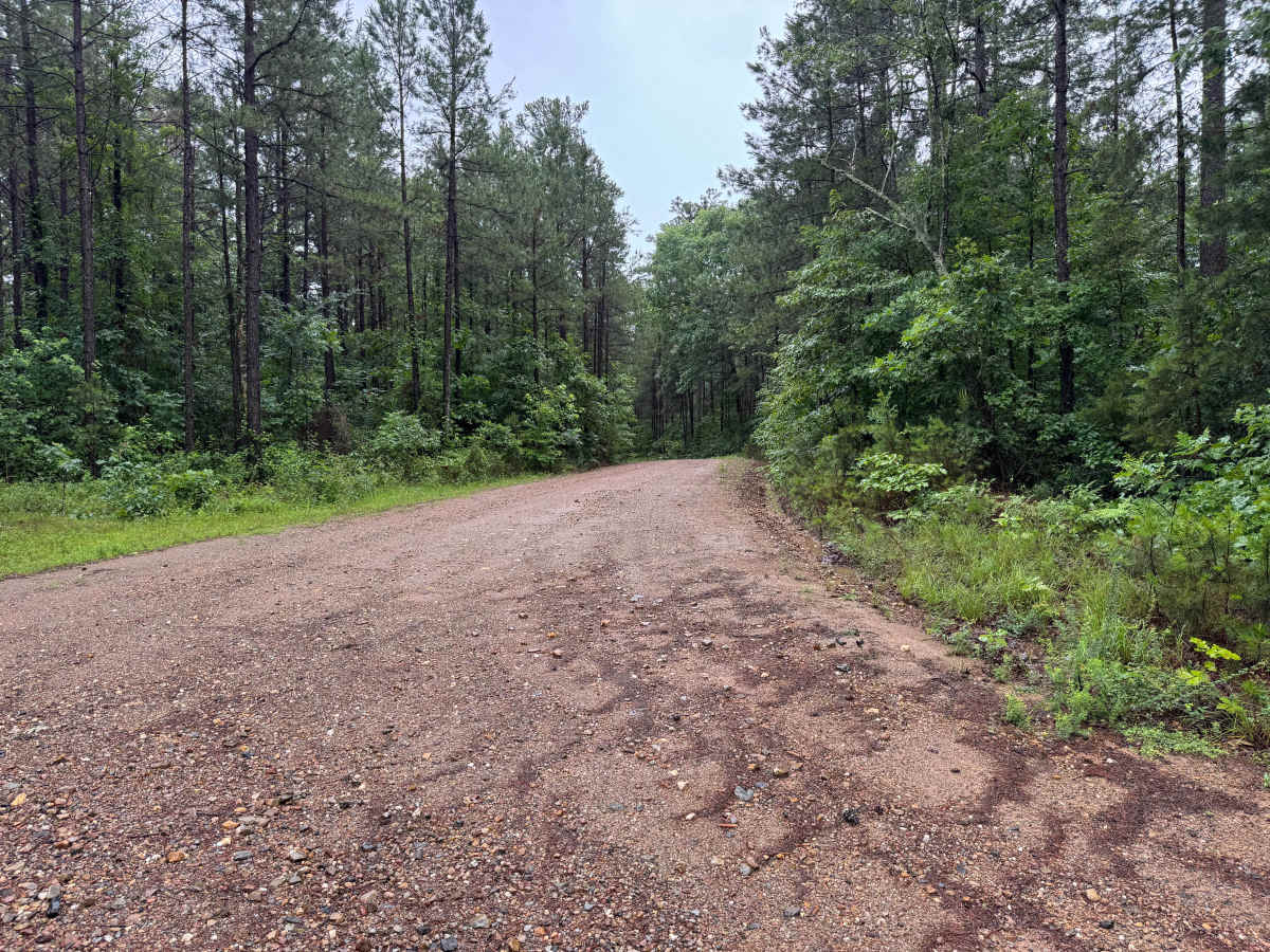West Gaston trail photo