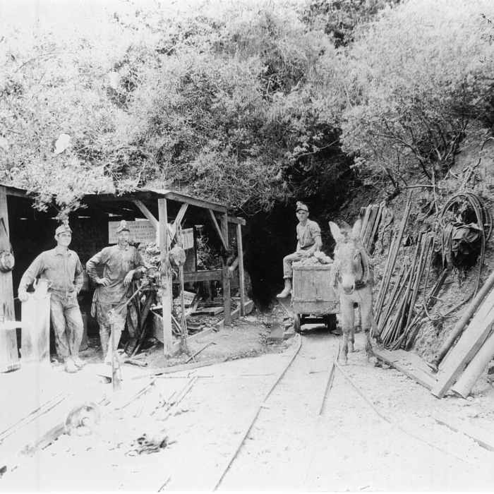 Near Silverado Trail