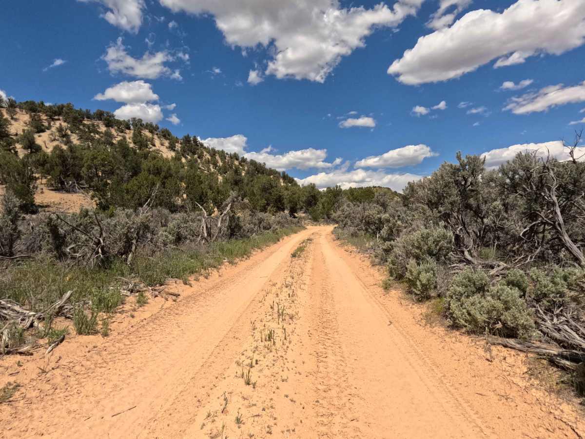 BLM 46 trail photo
