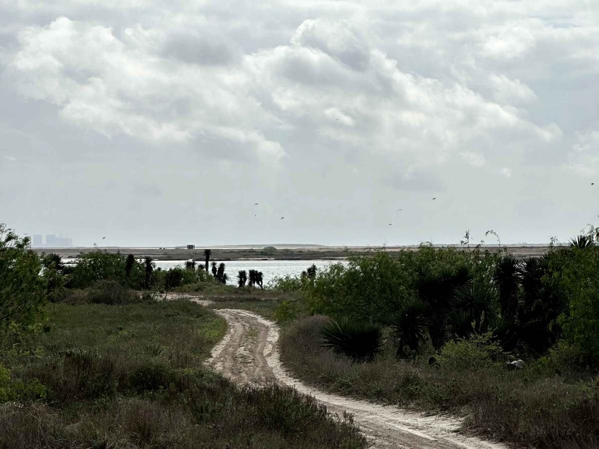 Ship Channel Entrance  trail photo