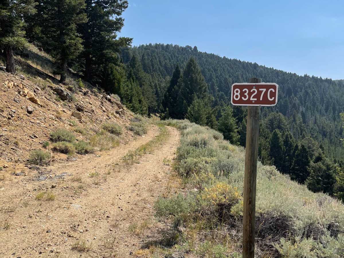 Barton Gulch and Offshoots photo 5