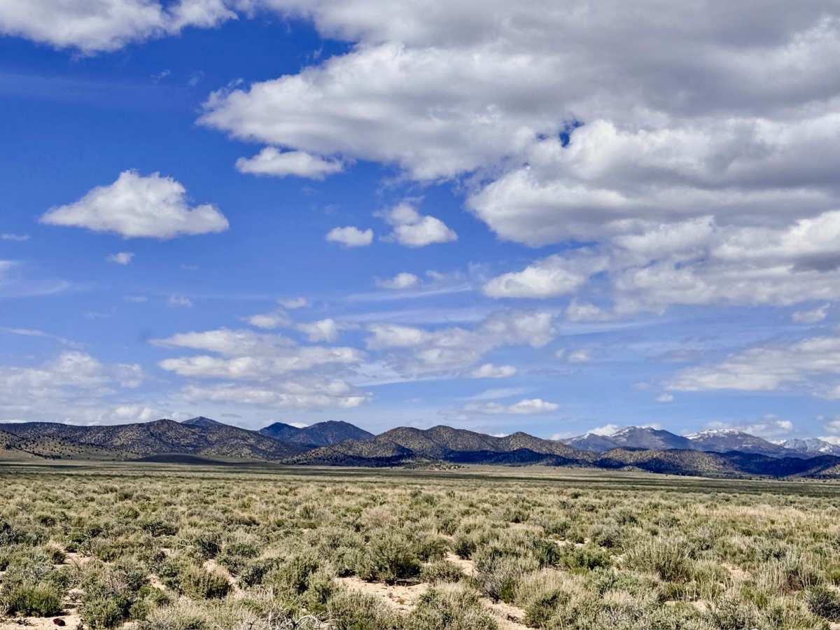 Spanish Spring - FS 44015 photo 4