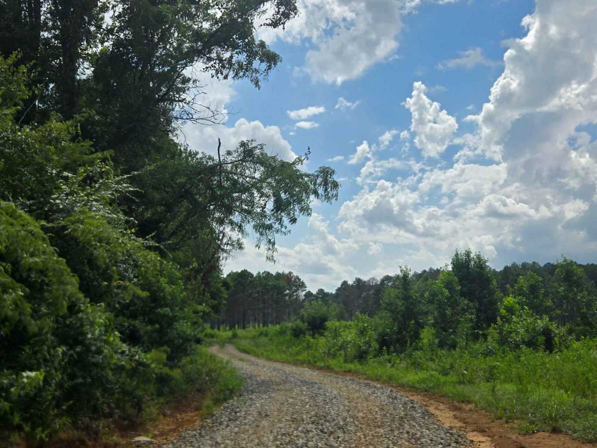 River Field Loop trail photo