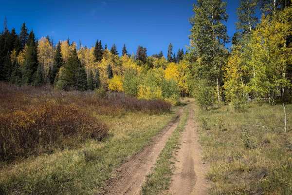 Beaver-McIntyre Trail - FS 472 