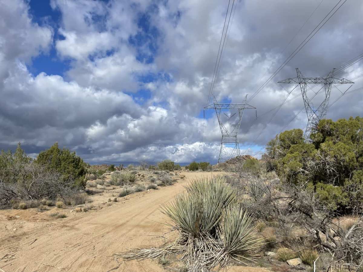 Pole Line Romp photo 2