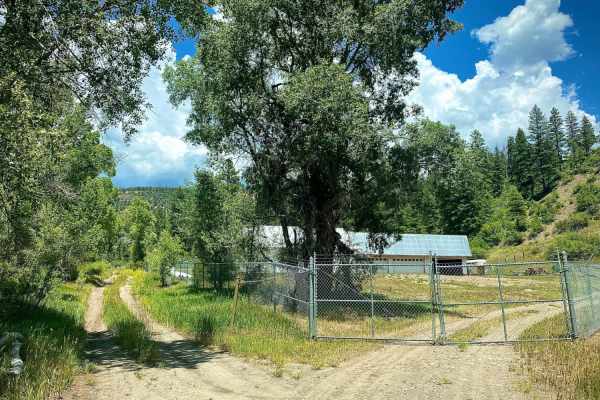 Devil Creek Wildlife Management Area-Fr Rd 627