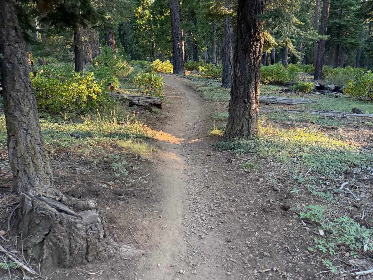 Rise and Shine (Middle) trail photo